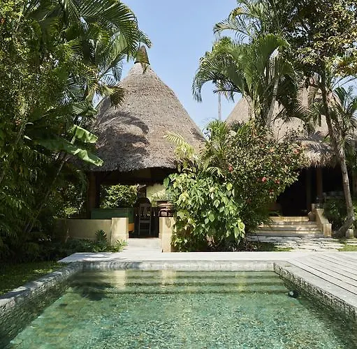 The Island *